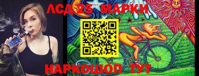 винт Кандалакша