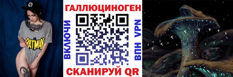 MEGA tor  Кыштым  Псилоцибиновые грибы Psilocybe  купить закладку 